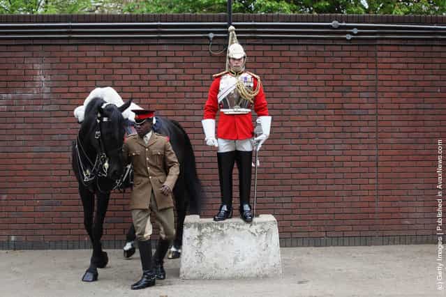 The Household Cavalry Prepare For The Royal Wedding