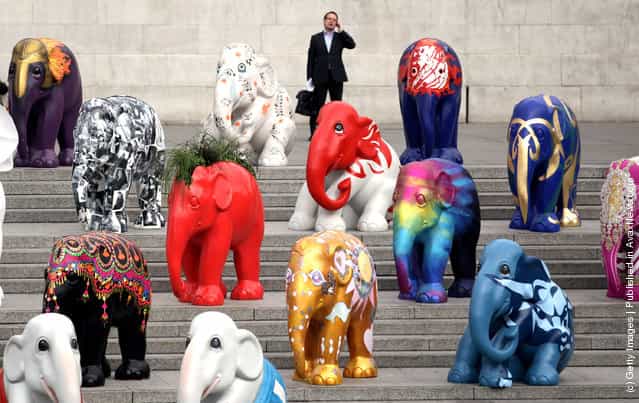 260 Elephant Sculptures