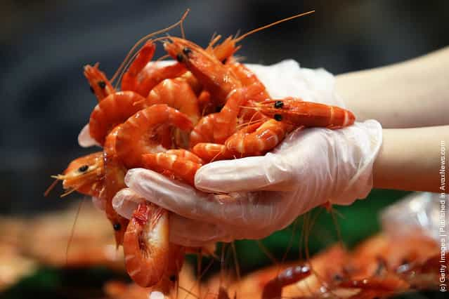 Sydney Fish Market Begins 36 Hour Seafood Marathon