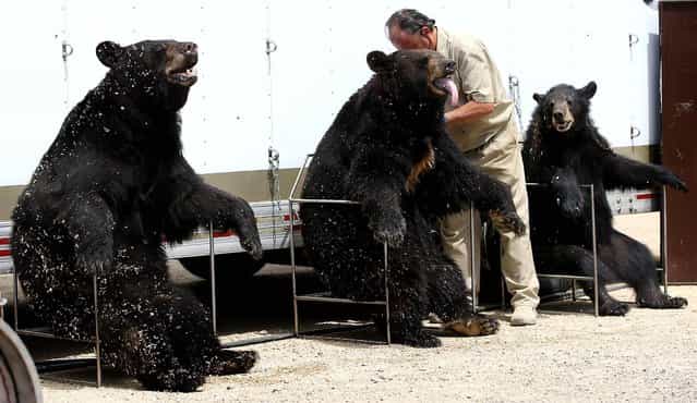 Pictures Of Recent Events [July 28 2012]