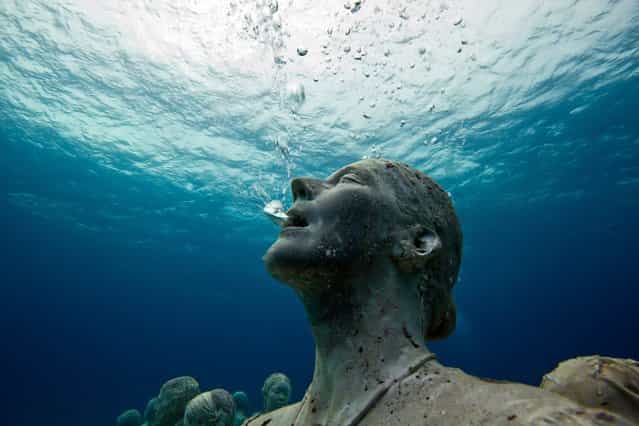 A Monumental Underwater Museum [MUSA]