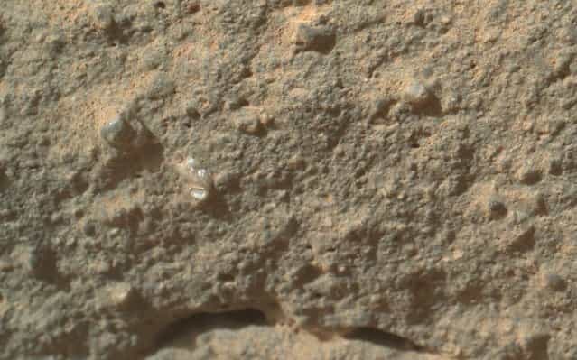 Mars Curiosity Rover Team Looks Back at [Flower] Looks Ahead to Drilling