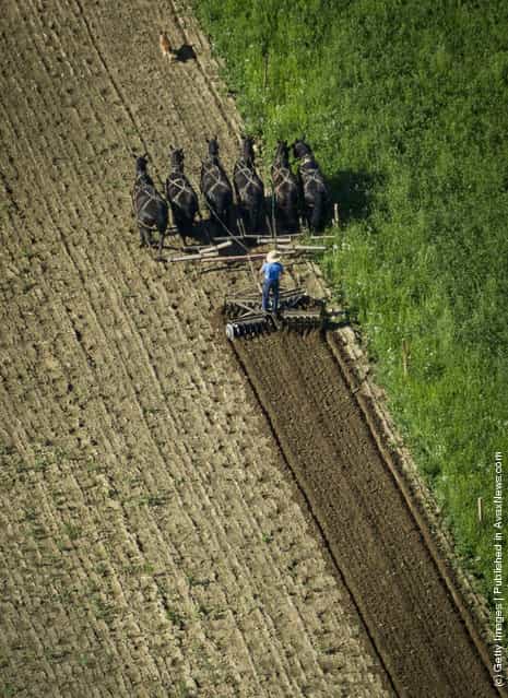 Amish Farmer Tends His Land In New Wilmington, Pennsylvania
