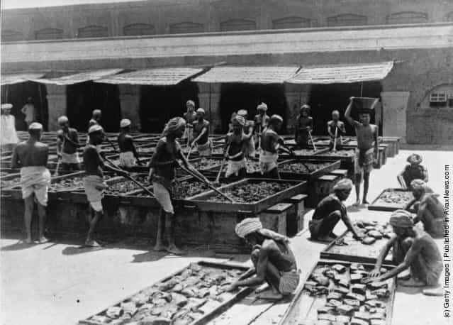 The british manufacturer of opium in India, 1920