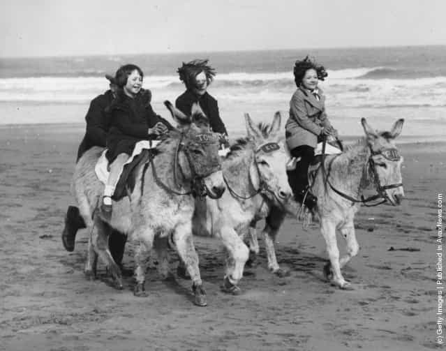 Three young girls enjoy one of the first rides of the donkey season on the beach, 1934