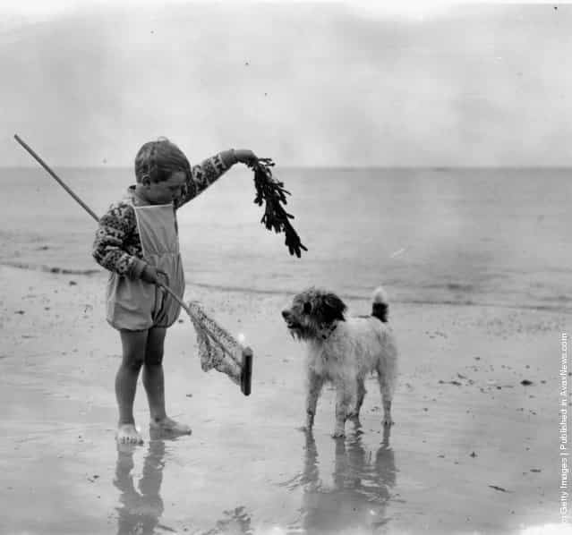 A young child with his dog on the beach, 1926