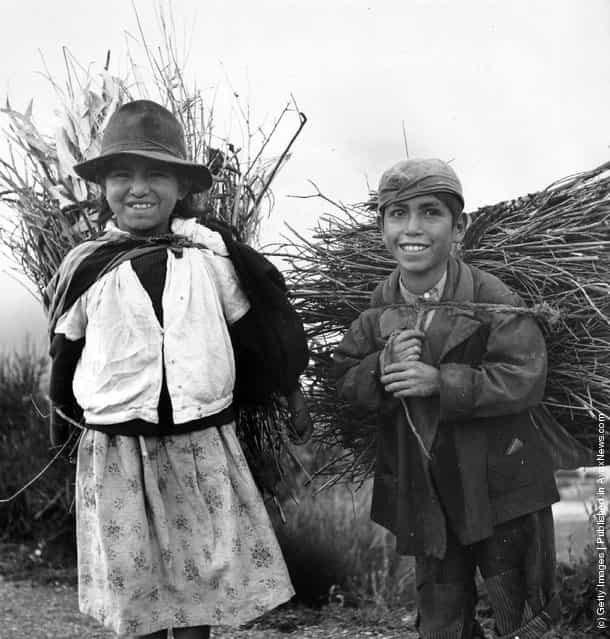 Huancayo children carrying firewood in Peru, 1955