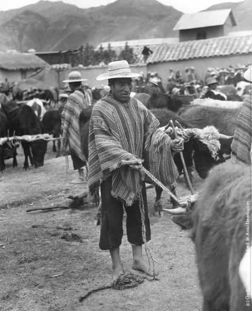 Quechua Indians, the descendants of Incas, at a market to sell their produce and buy supplies, 1955