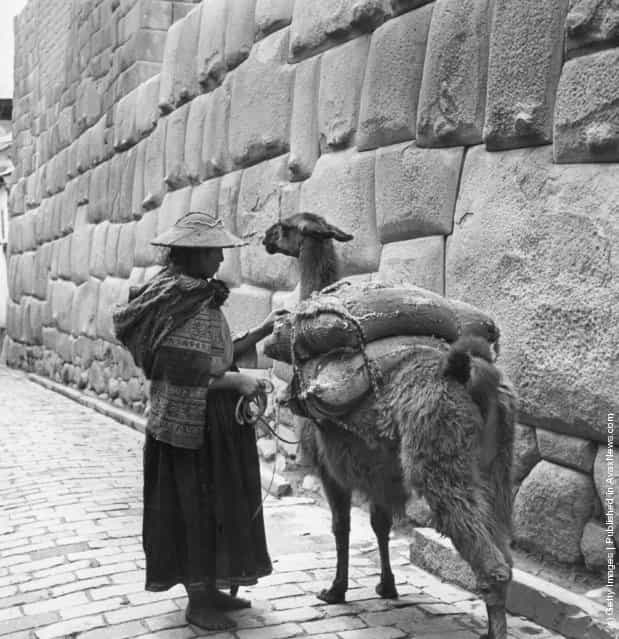 A Peruvian woman leads her llama through the old Inca town of Cuzco, high in the Andes, 1955