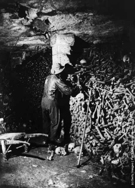 A man working in the catacombs of Paris. A large pile of human bones