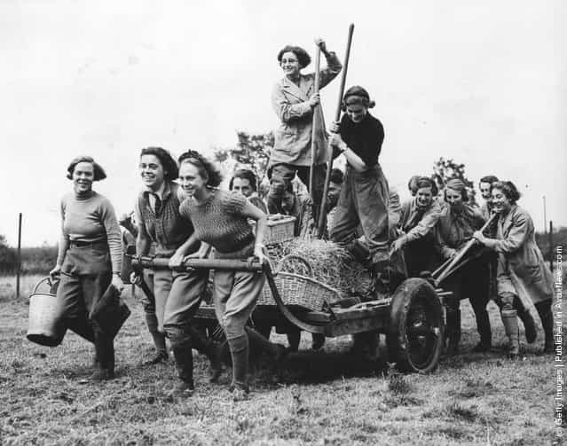 1937: A record number of students, a third of them girls, have enrolled for the winter session at the East Anglian Institute of Agricultural Studies in Chelmsford