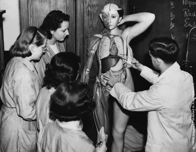 1938: Trainee nurses examine a model of a human body to learn anatomy