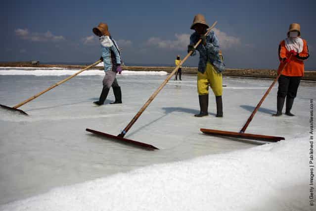 Farmers collect salt during a harvest in the the salt production process in Sumenep on Madura island, Indonesia