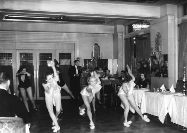 Cabaret dancers performing at the Prince of Wales Theatre
