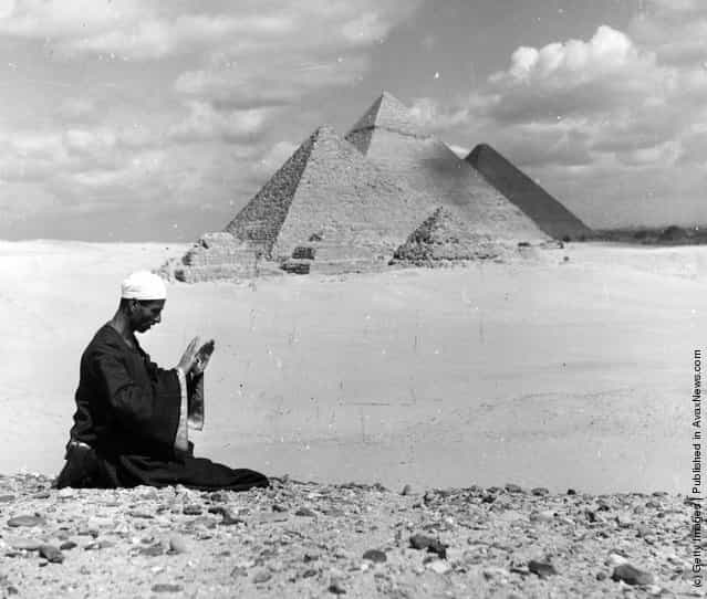 1955: A Muslim at prayer with the Pyramids as a backdrop