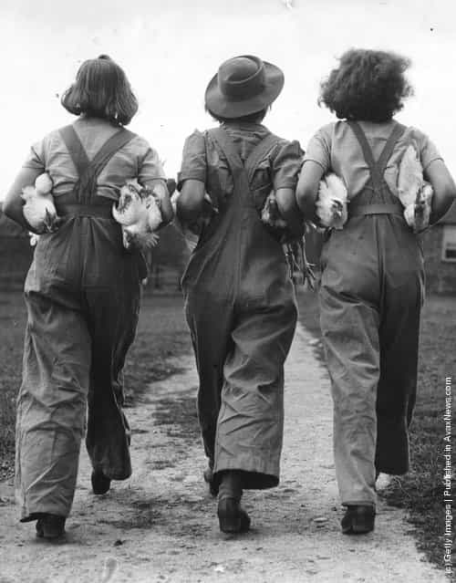 Firmly clutching some chickens under their arms three land army girls turn their backs on the camera, 1940