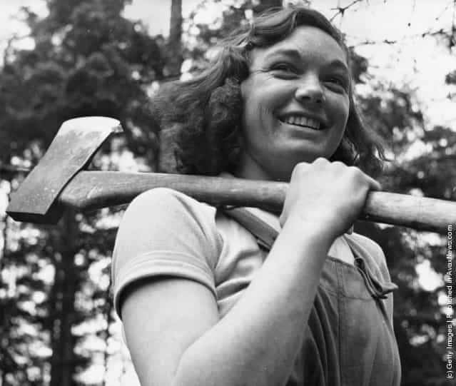 1942: Miss Cicely Clark of The Women's Timber Corps at work in a timber camp in Suffolk as part of the war effort