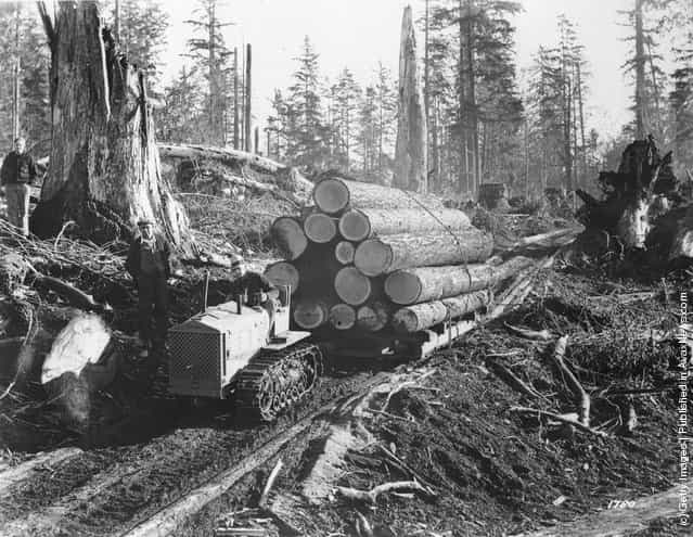 1938: A tractor hauling logs at a lumbering camp in Oregon, USA