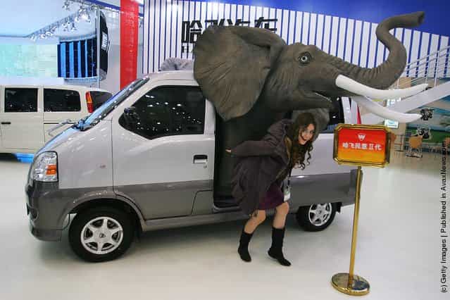 A model poses beside the Hafei J6391 during a special media opening of the Auto China 2008 show