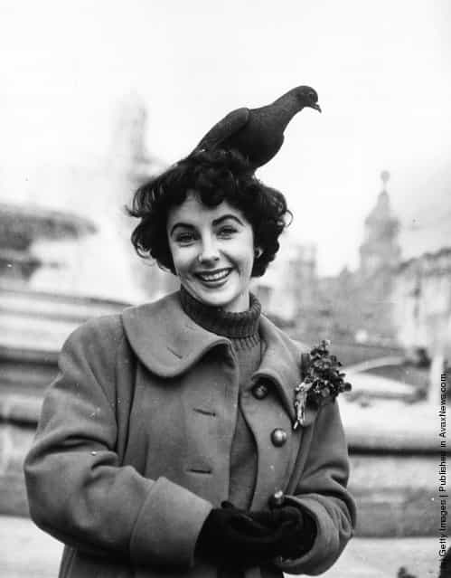 1948: Elizabeth Taylor feeds the pigeons in Trafalgar Square, London