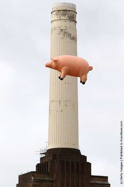 An inflatable pig flies above Battersea Power Station in a recreation of Pink Floyds [Animals] album cover
