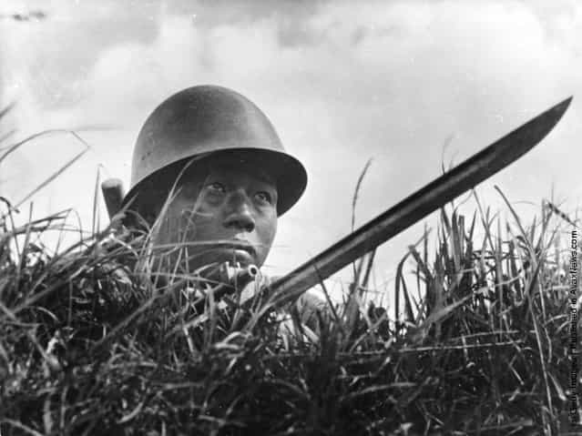 1950: A Chinese soldier hiding in the grass with a long bayonet at a border point