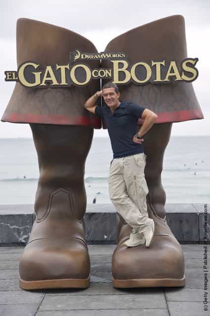 Spanish actor Antonio Banderas attends Puss in Boots photocall at the Kursaal Palace during the 59th San Sebastian International Film Festival