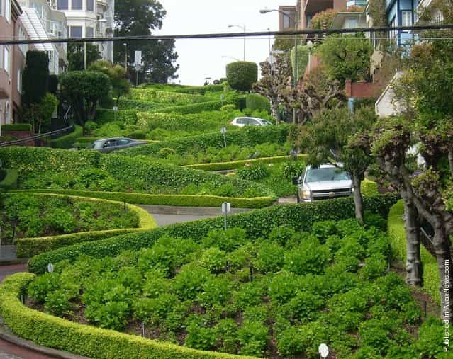 Lombard Street: The Crookedest Street In The World