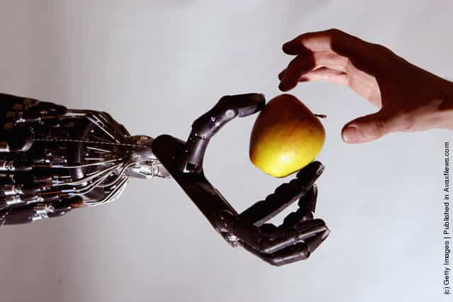 The Shadow Robot companys dextrous hand robot holds an Apple at the Streetwise Robots event held at the Science Museums Dana Centre