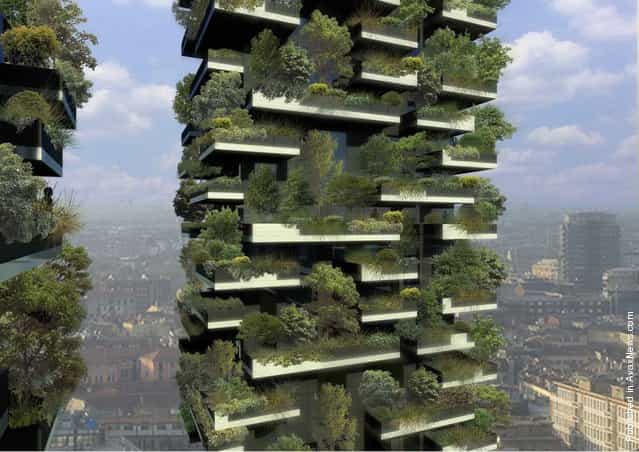Worlds first forest in the sky, the Bosco Verticale green twin towers