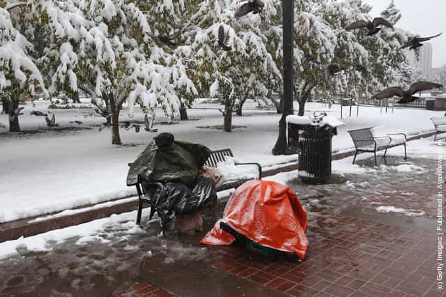 A man sits covered against the cold and snow at the Occupy Denver protest camp