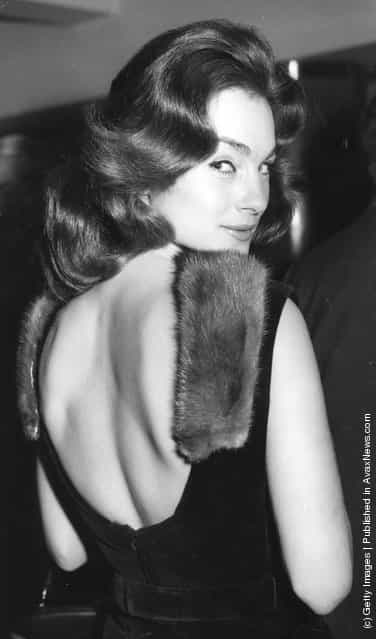 The British actress Shirley Ann Field attends a Variety Club Charity Luncheon at the Savoy Hotel, London, dressed in a mink-trimmed backless dress