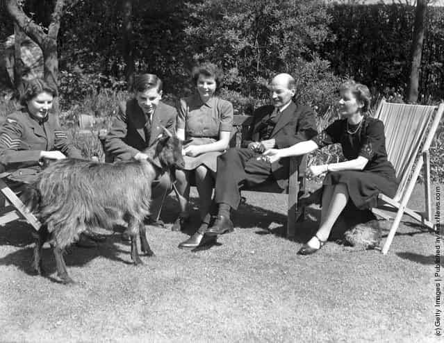 British Deputy Prime Minister Clement Attlee (1883 - 1967) with his wife, three of their children and their pet goat Mary, in the garden at their home in Stanmore, Middlesex, April 1943. Left to right: Janet Attlee, Martin Attlee (1927 - 1991), Felicity Attlee (1925 - 2007), Clement Attlee and his wife Violet (1885 - 1964)