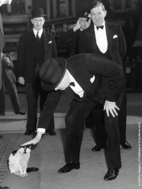British prime minister Winston Churchill (1874 - 1965) stops to pet a cat at Liverpool Street Station, 24th May 1952