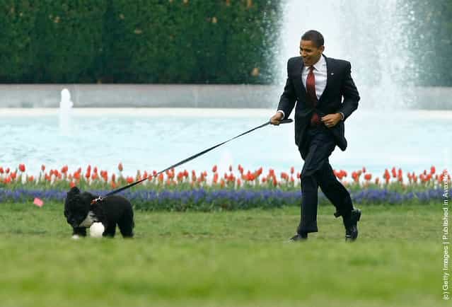 U.S. President Barack Obama runs with his familys dog, a Portuguese water dog named Bo