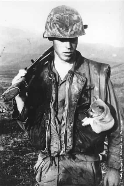 A soldier of the US Seventh Marines carrying a little puppy in his pocket after rescuing it during an operation south west of Da Nang in Vietnam, 1968