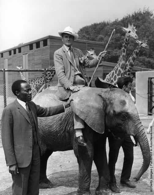 Sir Henry Frederick Thynne, 6th Marquess of Bath (1905 - 1992) mounted on baby African elephant Wamba at Longleat Safari Park, his family seat in Wiltshire, 29th May 1968. Leading Wamba by the ear is Mr J. R. Kabuzi, the Acting High Commissioner for Uganda, who is at Longleat to open the new East African Game Reserve