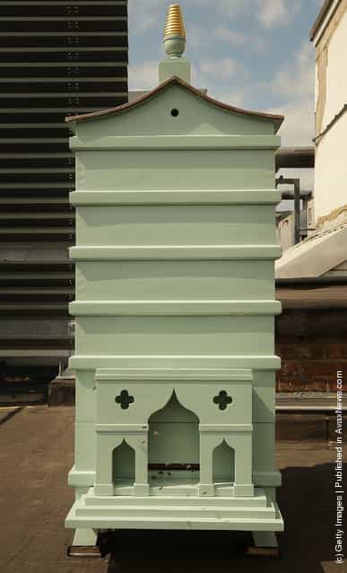 Fortnum And Mason Beehives Take Up Residence On The Roof