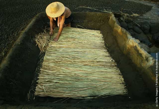 A villager prepares straw at ancient salt fields in Yantian Village on Hainan Island, China. The straw and bamboo mats will be used to filter dried tidewater mud and seawater in the process of creating thick brine which will be poured into troughs to be evaporated under the sun to make salt. Yantian is a small fishing village on the western coast of Hainan Island. Its ancient salt fields are more than 1,000 troughs chiseled out of volcanic rock. During the Tang Dynasty (618-907), villagers began to chisel volcanic rocks on the seashore