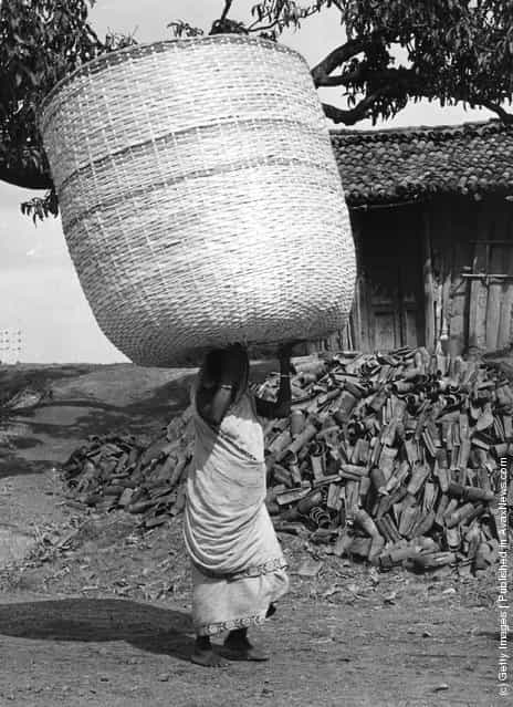 1955: An Indian woman carrying a large basket on her head, passing a large pile of roof tiles