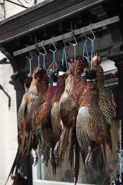 Pheasants hang outside Andrew Francis butchers in the rural town of Ludlow in Shropshire