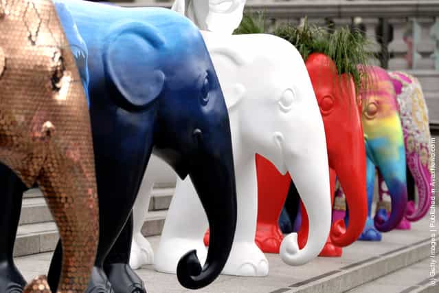 Elephant Sculptures