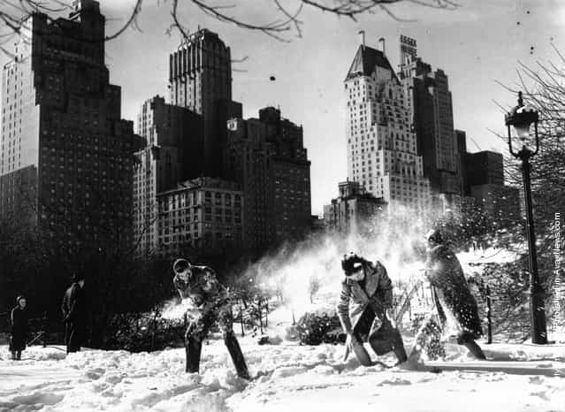 A snowball fight in Central Park, New York, after the first snowfall of 1938