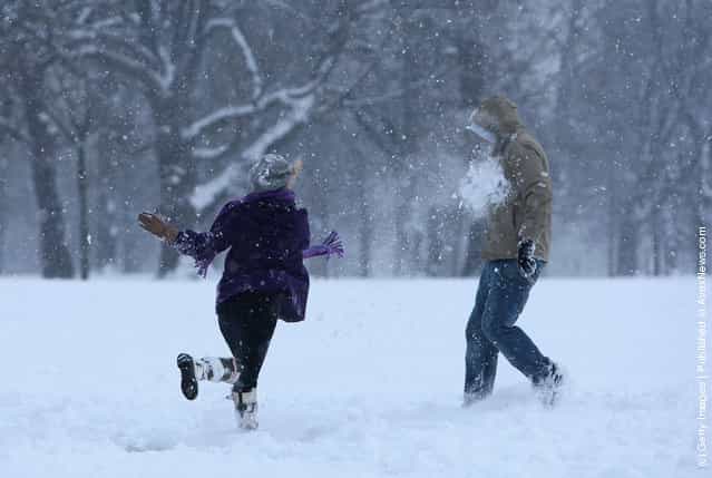 People throw snowballs in Kensington Gardens