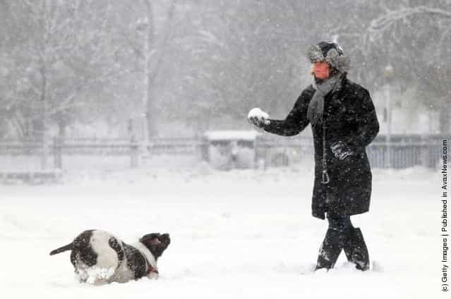Elizabeth Laurence throws snowballs to her dog Pippa in Boston, Massachusetts