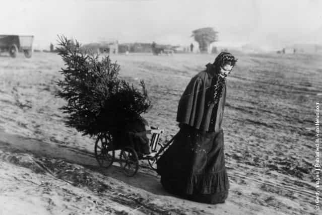 A woman returns home from the market with a Christmas tree, 1895