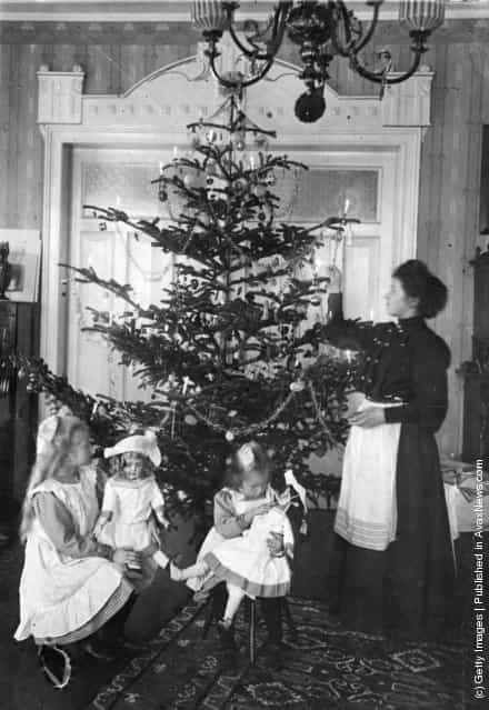 1905: A Christmas tree in an Edwardian parlour