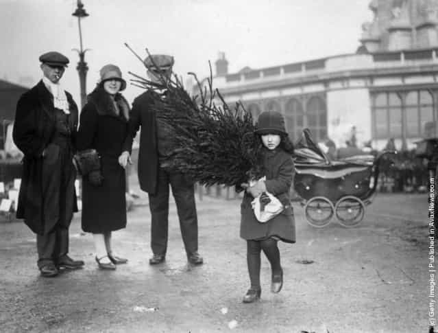 1929: A little girl taking home her Christmas Tree, bought from Caledonian Road Market, London