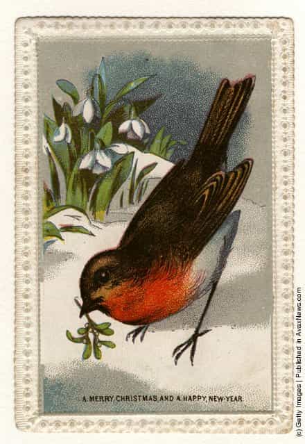 1871: A robin, with mistletoe in its beak and a bunch of snowdrops, features in this Christmas and New Years greetings card