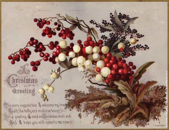 1882: Traditional holly berries and sprigs of mistletoe decorate a Victorian Christmas greetings card